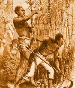 slavery plantation