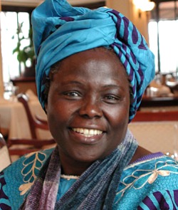 wangari maathai muta